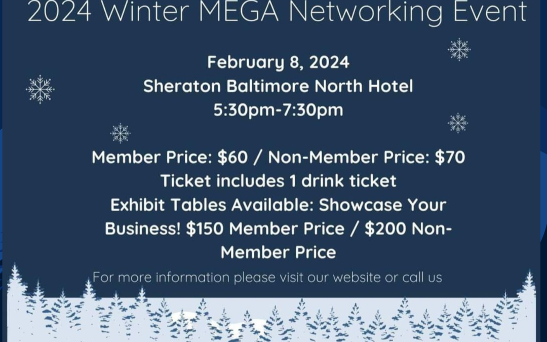 Winter Mega Networking Event